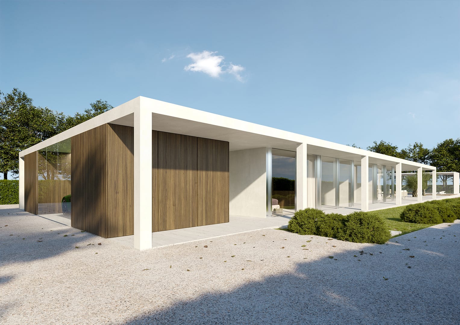 House T, vista angolare lato garage con finiture noce e parete trasparente