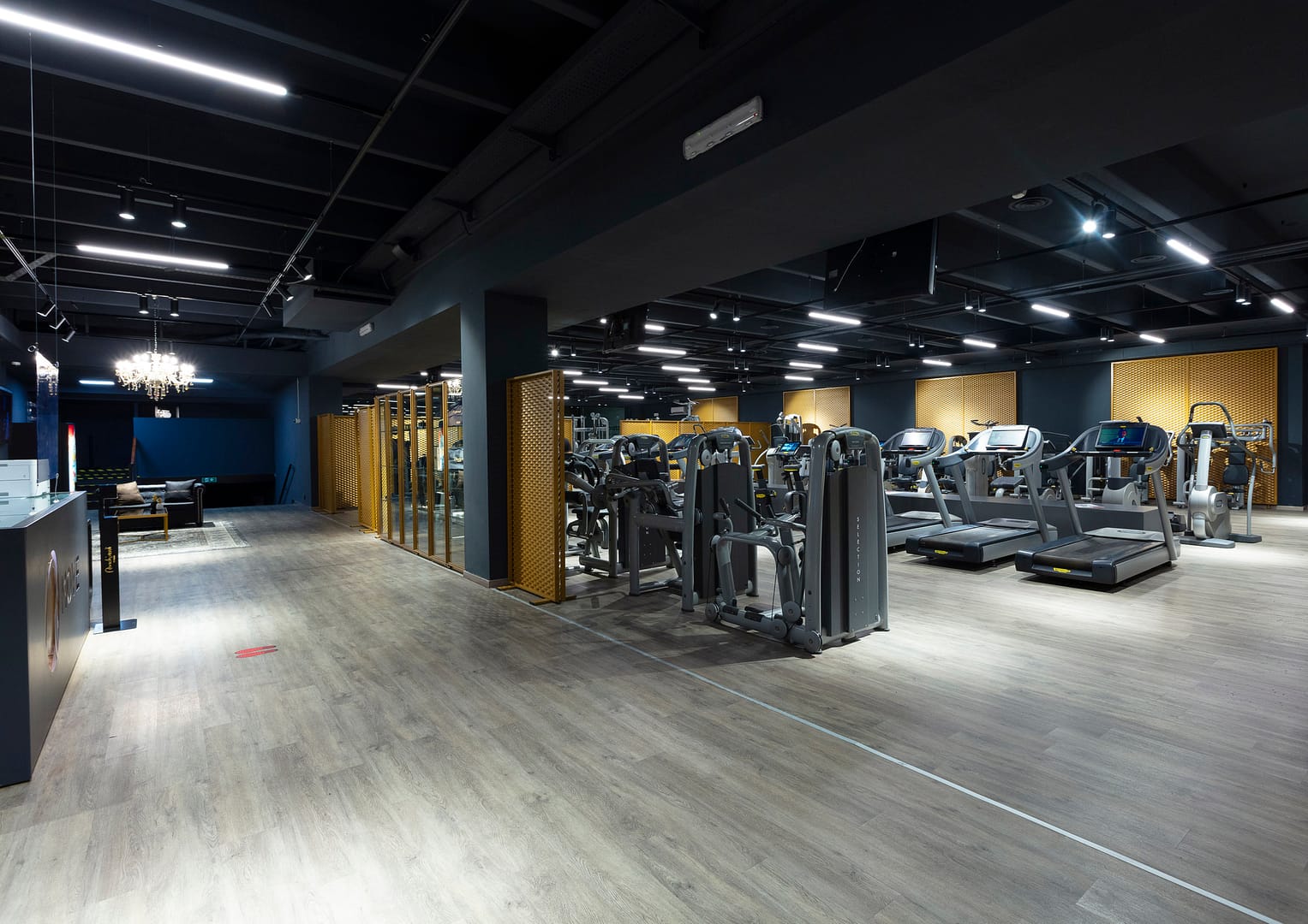 Ronchiverdi Sport & Business Club, reception e gym floor area cardio